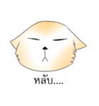 Oh！！ this is my cat（個別スタンプ：5）