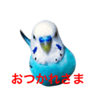 インコのかいちゃん（個別スタンプ：7）