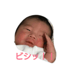 葵の日常（個別スタンプ：2）