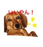 ダグたち4（個別スタンプ：7）