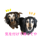 ダグたち4（個別スタンプ：13）