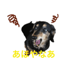 ダグたち4（個別スタンプ：15）