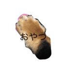 家族用1（個別スタンプ：2）