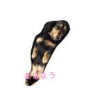 家族用1（個別スタンプ：3）