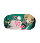 みっく(MIX)＆りん(パピヨン)（個別スタンプ：6）