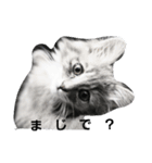 CAT ALEX（個別スタンプ：7）