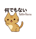 猫 : 今日の若者言葉（個別スタンプ：10）