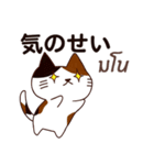 猫 : 今日の若者言葉（個別スタンプ：11）