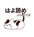 猫 : 今日の若者言葉（個別スタンプ：13）