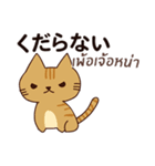 猫 : 今日の若者言葉（個別スタンプ：26）