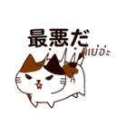 猫 : 今日の若者言葉（個別スタンプ：31）