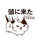 猫 : 今日の若者言葉（個別スタンプ：33）