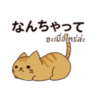 猫 : 今日の若者言葉（個別スタンプ：34）