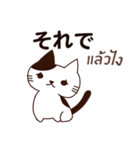 猫 : 今日の若者言葉（個別スタンプ：37）