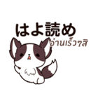 犬 : 今日の若者言葉（個別スタンプ：13）