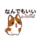 犬 : 今日の若者言葉（個別スタンプ：17）