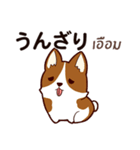 犬 : 今日の若者言葉（個別スタンプ：27）