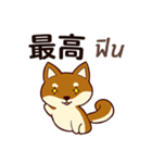 犬 : 今日の若者言葉（個別スタンプ：35）