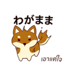 犬 : 今日の若者言葉（個別スタンプ：40）