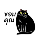 Nil Black Cat（個別スタンプ：2）