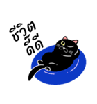 Nil Black Cat（個別スタンプ：6）