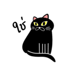 Nil Black Cat（個別スタンプ：11）