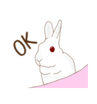 おもちぷっか（個別スタンプ：1）