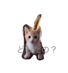 うりんこやん（個別スタンプ：2）
