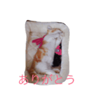 うりんこやん（個別スタンプ：4）