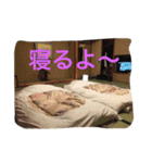 清.里-家族（個別スタンプ：5）
