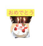 清.里-家族（個別スタンプ：16）