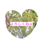 Guppy's heart（個別スタンプ：10）