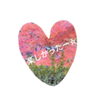 Guppy's heart（個別スタンプ：12）