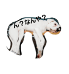 ma-ri-n-sa-n.（個別スタンプ：2）