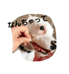 ma-ri-n-sa-n.（個別スタンプ：16）