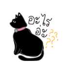 Sleeping Kitty（個別スタンプ：3）