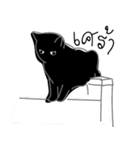 Sleeping Kitty（個別スタンプ：10）