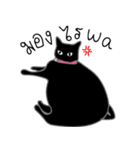 Sleeping Kitty（個別スタンプ：14）
