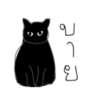 Sleeping Kitty（個別スタンプ：24）