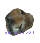 ハッピーメリークリスマス（個別スタンプ：16）