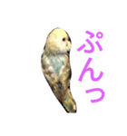 セキセイインコパルの1日（個別スタンプ：18）