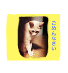 うららスタンプ①（個別スタンプ：3）