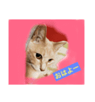 うららスタンプ①（個別スタンプ：7）