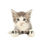 lent.lent.（個別スタンプ：5）