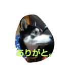 pu12（個別スタンプ：4）