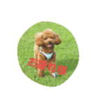 pu12（個別スタンプ：6）
