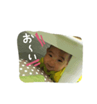 たいせいスタンプ！（個別スタンプ：24）