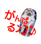 伊東家のスタンプ（個別スタンプ：21）