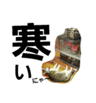 Cat cocochan（個別スタンプ：3）