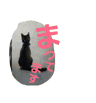 cat coco chan（個別スタンプ：5）